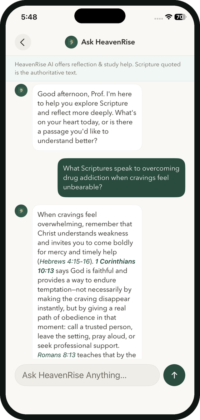 Ask HeavenRise chat screen